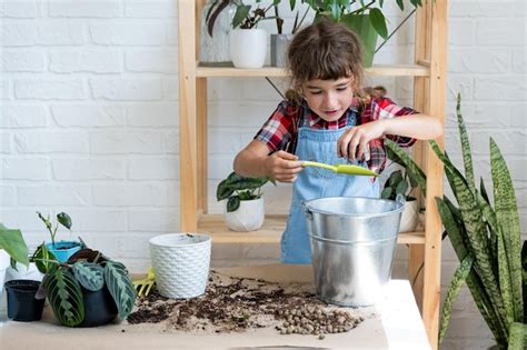 Premium Photo Girl Transplants A Potted Houseplant Philodendron Into