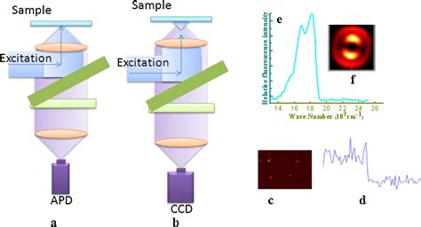 Commentary Single Molecule Fluorescence Spectroscopy