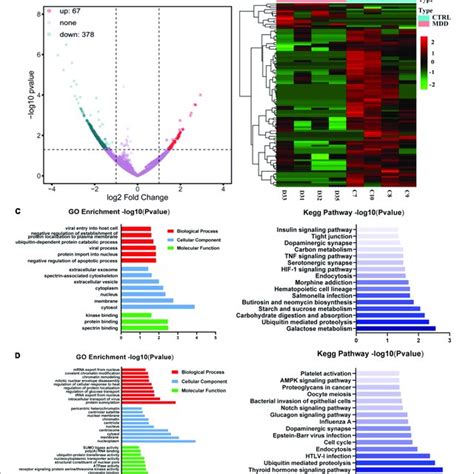 CircRNA Expression Profiles A Volcano Plot Of Dysregulated