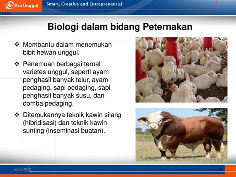 Manfaat Mempelajari Biologi Di Bidang Pertanian