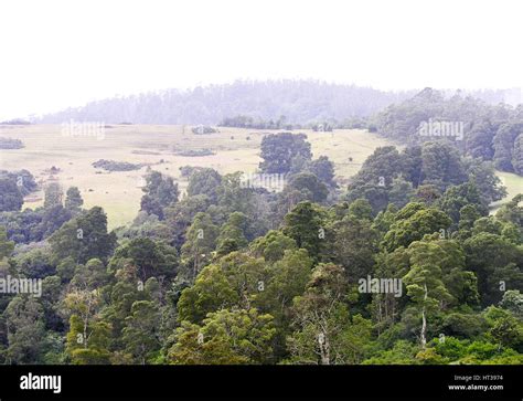 Ooty mountain peaks Stock Photo - Alamy