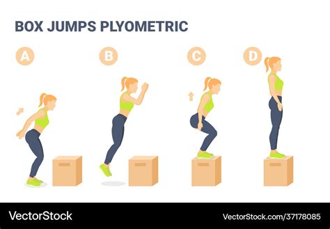 Box jumps female home workout exercise guidance Vector Image