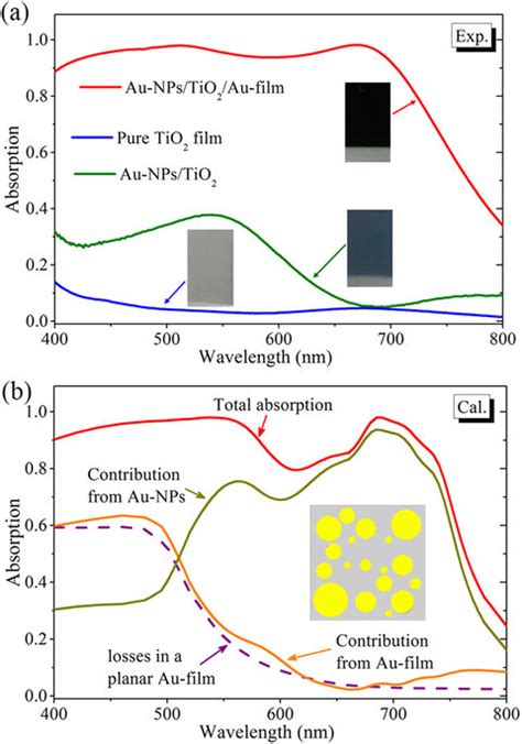 Experimentally Measured Absorption Spectra Of The Au Nps Tio Au Film