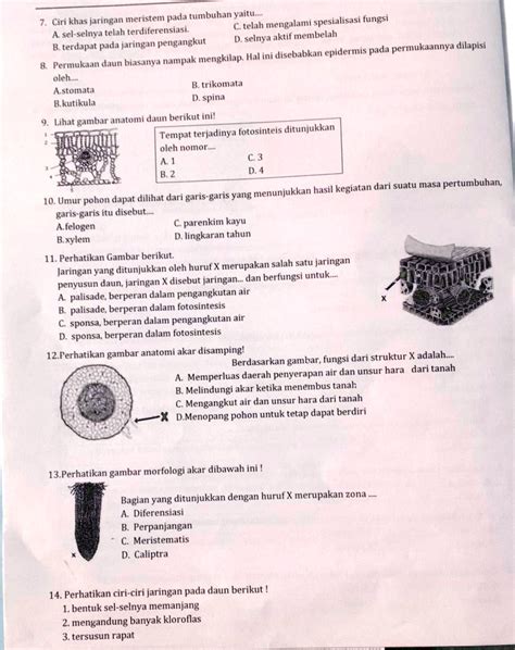 SOLVED Kak Tolong Kerjakan Soal A B C An IPA Kelaa 8 Pada Tumbuhan