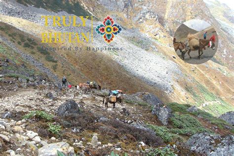 Trekking In Bhutan | Truly Bhutan