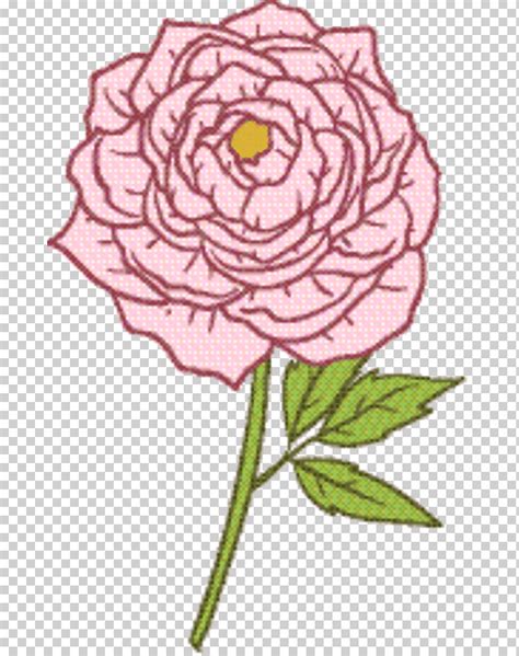 Descarga Gratis Dibujo De Familia Dise O Floral Rosas De Jard N