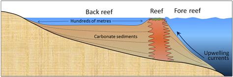 17.3 Landforms of Coastal Deposition | Physical Geology