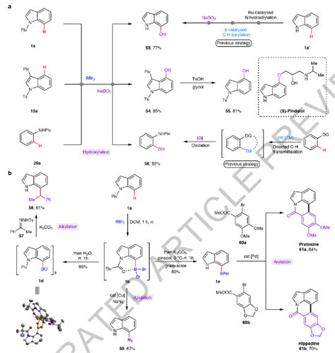 Applications Of Metal Free Directed C H Borylation Strategy A