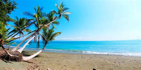 Roteiro Costa Rica Guia Para Melhores Praias E Atra Es