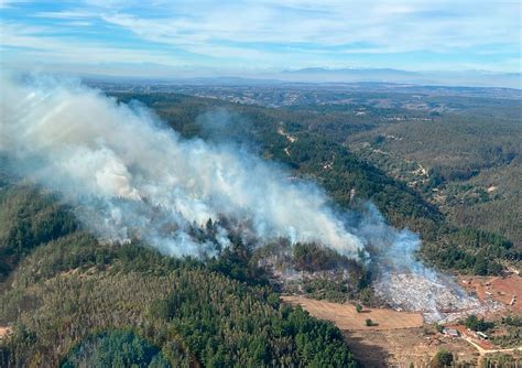 CONAF Corporación Nacional Forestal on Twitter Toda la