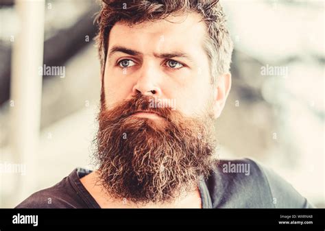 Bearded Man Feel Loneliness Mature Hipster With Beard Hair Thoughtful