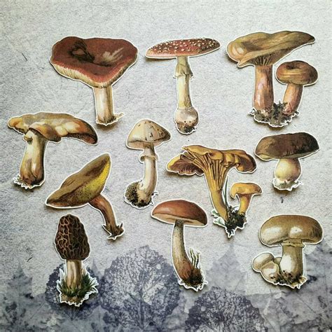 11 x mushroom stickers. Retro. Vintage. Snail mail collage | Etsy