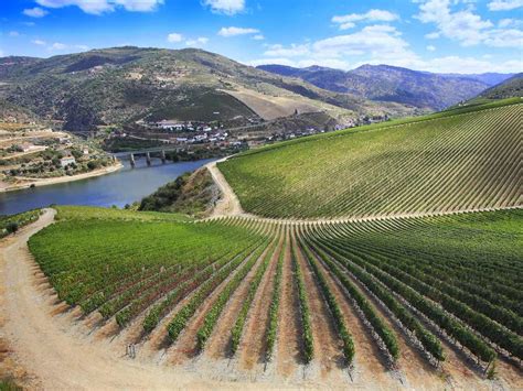 Ruta Por La Ribera Del Duero Los Viajes De Domi