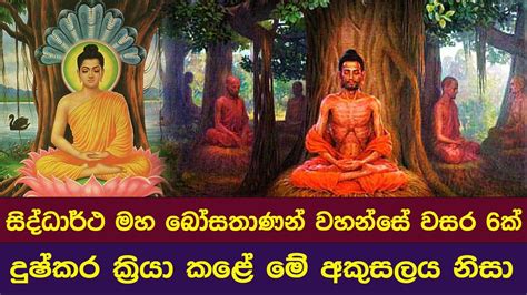 සිද්ධාර්ථ මහ බෝසතාණන් වහන්සේ ට වසර 6ක් දුෂ්කර ක්‍රියා කරන්න වුණේ මේ අකුසලය නිසා Dhaham Katha