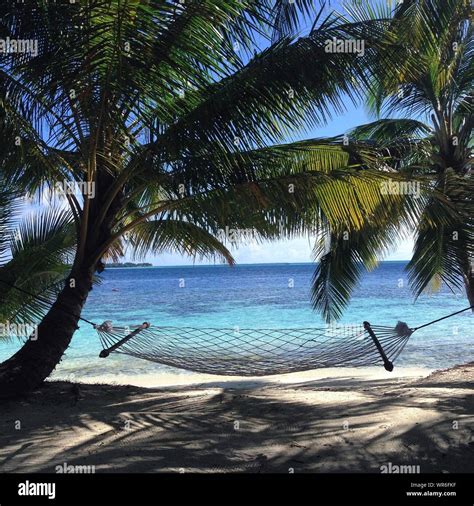 Palm Tree Hammock Beach Scene Hi Res Stock Photography And Images Alamy