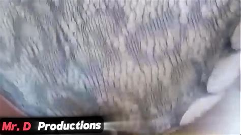 Casting En Espanol Videos Xvideos