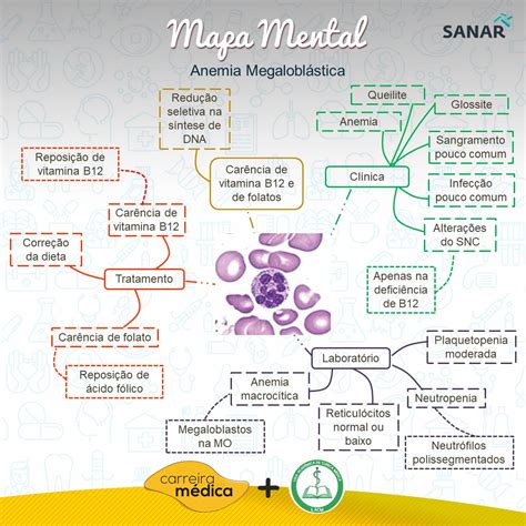 Anemia Aplasica Mapa Conceptual Jlibalwsap