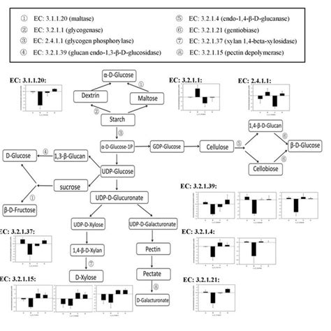 Figure.S3. The starch and sucrose metabolism pathway in response to ...