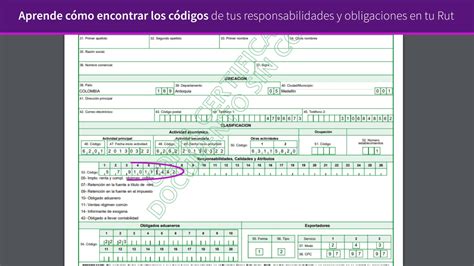 Aprende C Mo Encontrar Los C Digos De Tus Responsabilidades Y