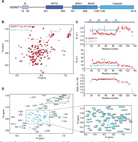 Figure 1 from Identification of a conserved α-helical domain at the N ...