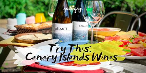 Try This: Canary Islands Wines [SP] | GastroGays