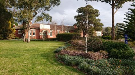 Ringwood Primary School | Learning from the Past