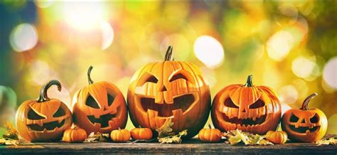 40 Fun Jack-O'-Lantern Facts For Some Trick Or Treating - Facts.net