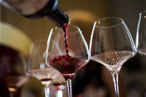 Wine Industry Adapts To Global Standards To Increase Exports Industry