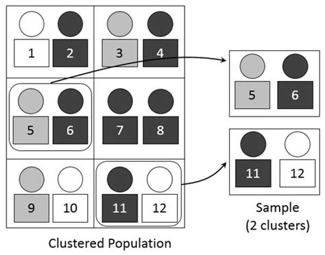 Cluster Sampling Diagram