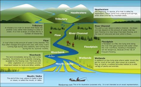 ⭐ Drainage pattern definition. Types of Drainage Patterns. 2022-11-09