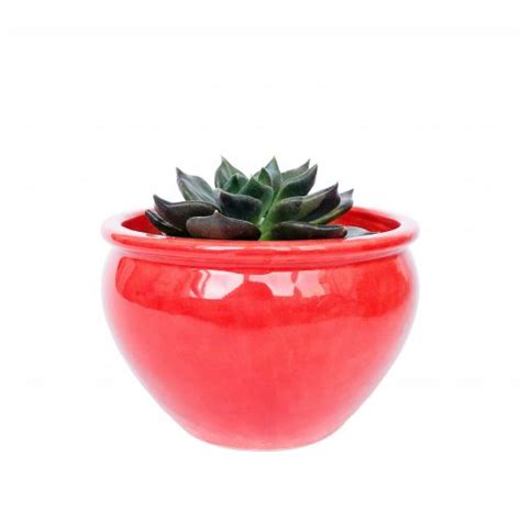 Керамический горшок для маленьких растений 0,4 л | CeramicShop