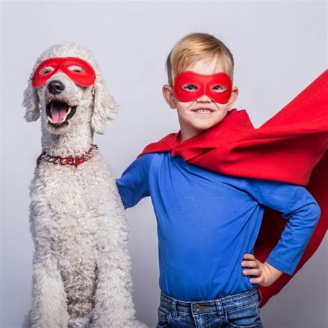 how to get your dog in modeling