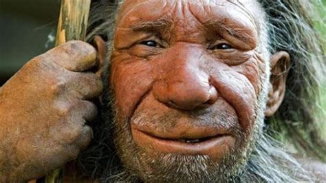 Los Neandertales Se Extinguieron Por El Canibalismo Hispantv