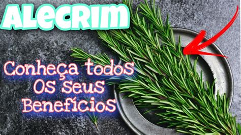 Alecrim E Suas Propriedades Medicinais Alecrim Aromaterapia