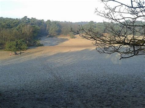 Drunense Duinen, januari 2014 | Nederland, Wandelen, Natuur
