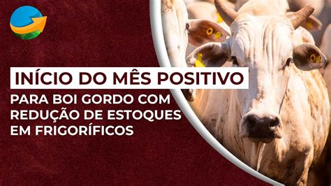 Início do mês positivo para boi gordo redução de estoques em