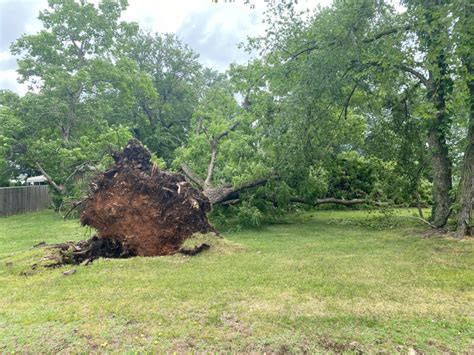 Storm damage in northeast Oklahoma knocks out power to thousands, downs ...