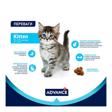 Advance Kitten Cat Chicken Сухой корм для котят с курицей и рисом ...