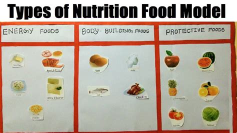 Three Types Of Food Baamboozle Baamboozle The Most Fun Classroom