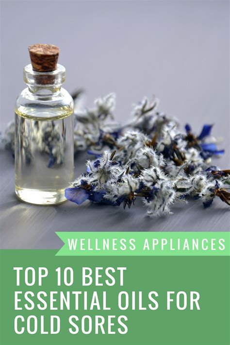 Top 10 Best Essential Oils For Cold Sores Pin Wellness Appliances