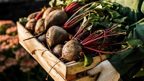 Tres deliciosas recetas con remolacha para sacar este sano tubérculo