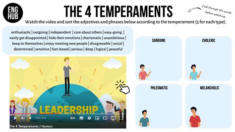 Personality and Temperament Types