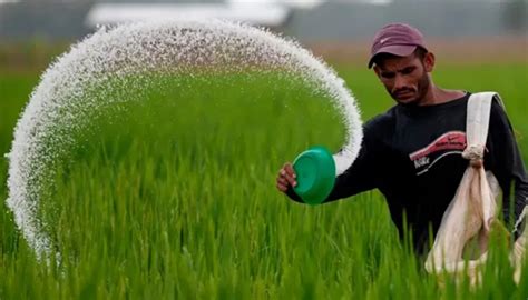 Govt To Import Lakh Tonnes Fertiliser From Countries The