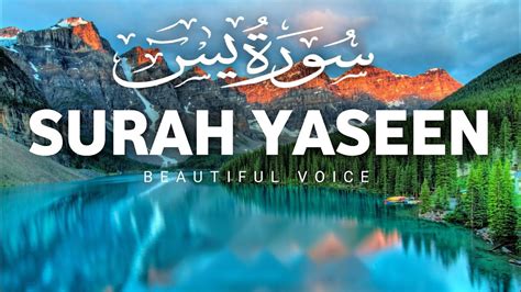 Surah Yasin Yaseen Full With Arabic Surah Yaseen With Urdu