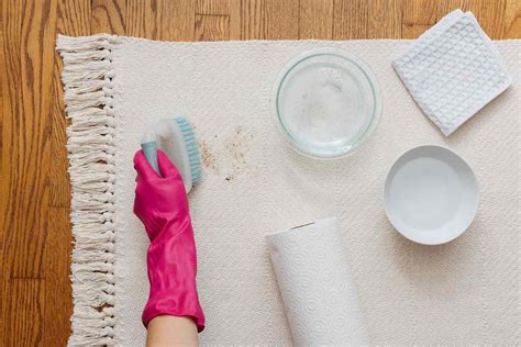 how to get old dog poop stains out of carpet