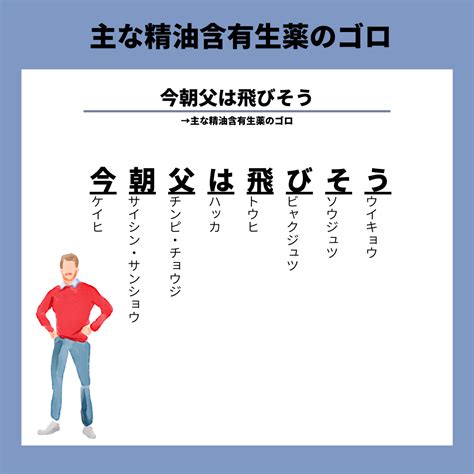 主な精油含有生薬のゴロ 薬学note