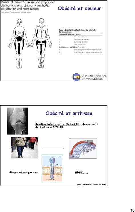 Dr Ottaviani Service De Rhumatologie H Pital Bichat Staff Du Mai Pdf