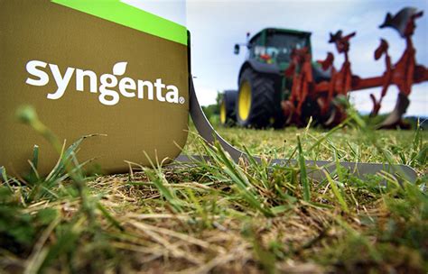 Швейцарская Syngenta открыла под Воронежем первый в РФ институт защиты ...