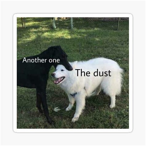 Bites The Dust Meme - edulistips