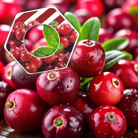 Ароматическая насадка для бутылки Flavor Splash с ароматом клюквы ...